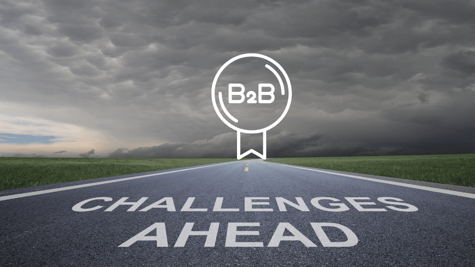 Challenges of B2B E-commerce